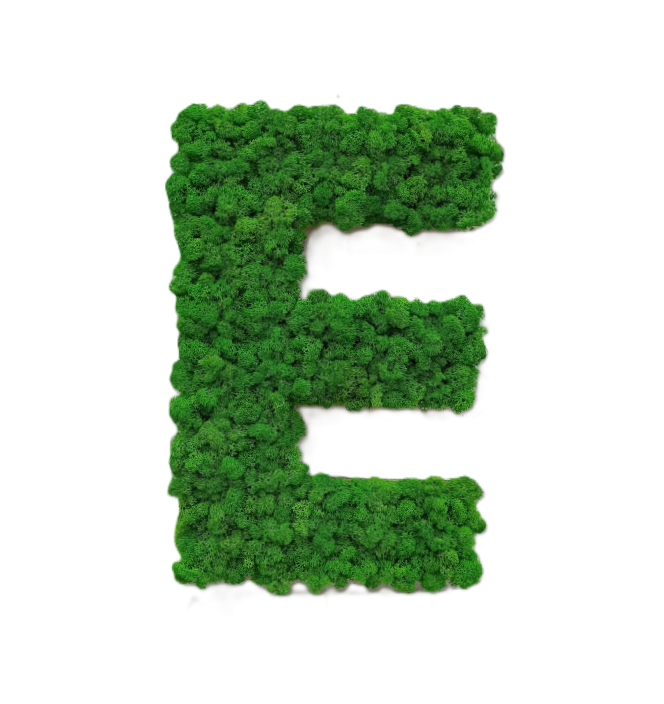 Machové písmená a čísla spájajú moderný dizajn, prírodný vzhľad a osobný význam. Každý kus vyrábame ručne z kvalitného fínskeho machu, ktorý si zachováva farbu a mäkkosť bez akejkoľvek starostlivosti. Písmená sú ideálne ako nápisy, logá, čísla domov či svadobné dekorácie. Vyrobíme ich presne podľa tvojich predstáv – tvar, veľkosť aj farbu prispôsobíme na mieru.