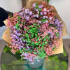 Stabilizovaná kytica z gypsophily, ktorá si zachováva svoju krásu bez potreby starostlivosti. Dostupná v rôznych farebných kombináciách aj ako jednofarebná verzia.