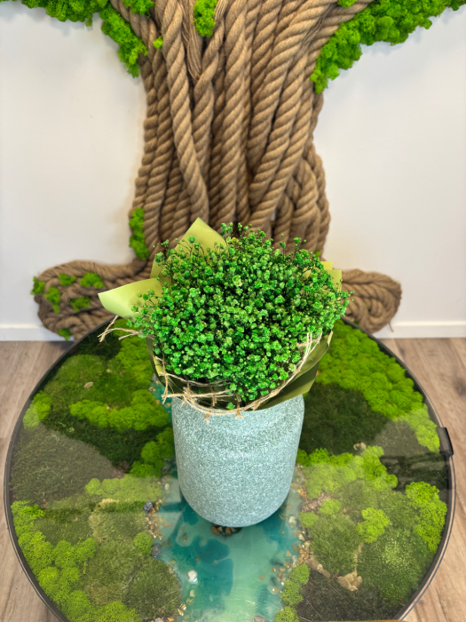 Stabilizovaná kytica z gypsophily, ktorá si zachováva svoju krásu bez potreby starostlivosti. Dostupná v rôznych farebných kombináciách aj ako jednofarebná verzia.