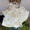 Stabilizovaná kytica z gypsophily, ktorá si zachováva svoju krásu bez potreby starostlivosti. Dostupná v rôznych farebných kombináciách aj ako jednofarebná verzia.